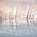 Platz 7 Reflex 82 Wilfried Goerlich 01